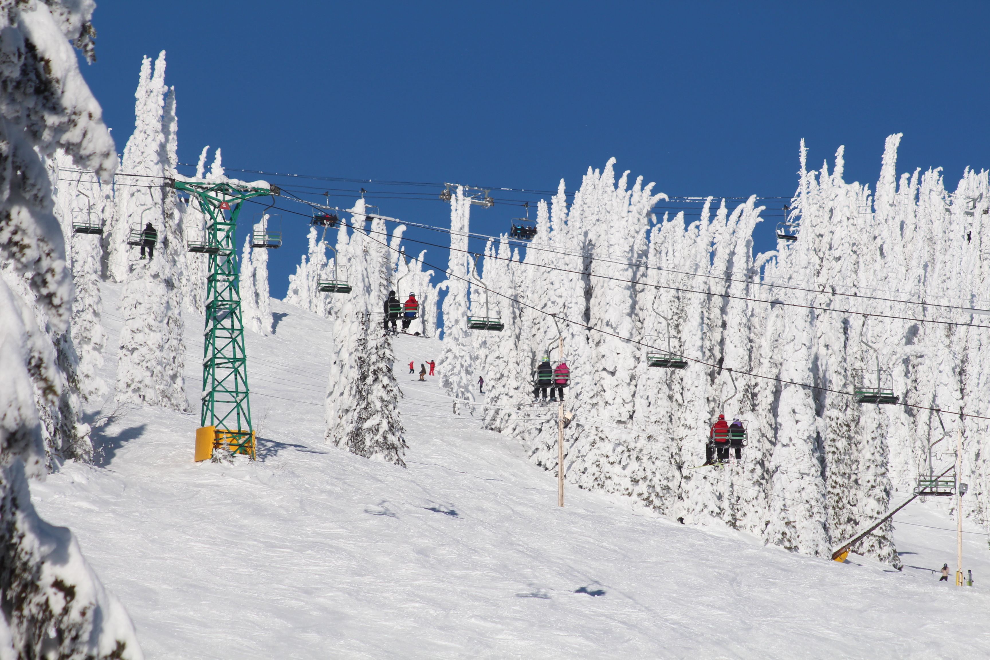 Snow Bird Lodge