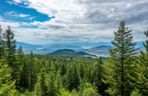 7928 Aspen Road, Vernon, BC