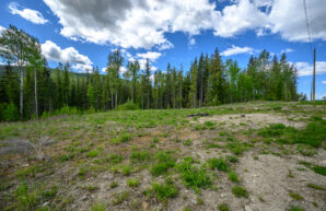 8290 Lincoln Road, Vernon, BC